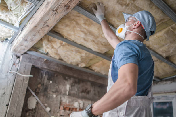 Best Eco-Friendly Insulation in Bethlehem Village, CT